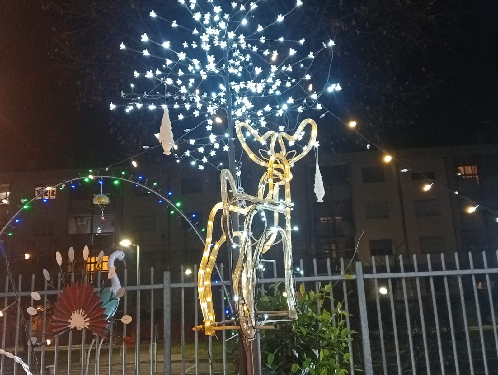 Presepe Neri5