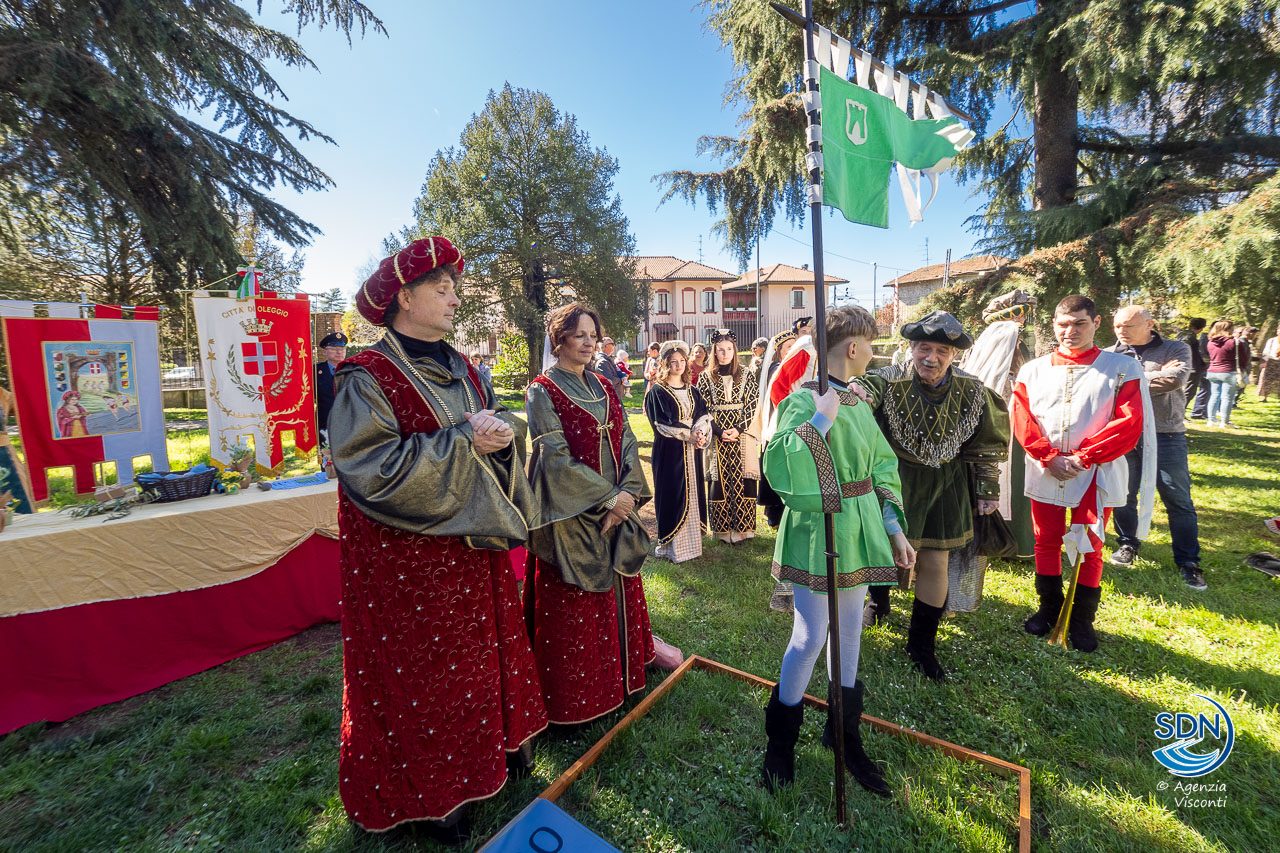 Arceri Bellinzago Oleggio 2024_15